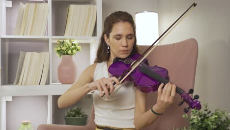 el músico toca el violín.