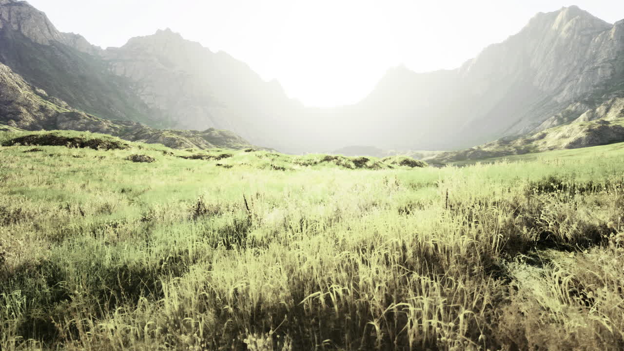 Expansive meadow under mountains at sunrise in a tranquil landscape