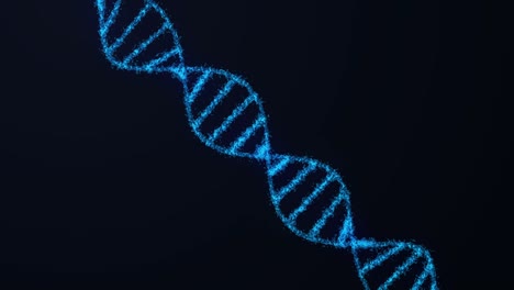 animated hologram of blue glowing rotating dna double helix on black background.