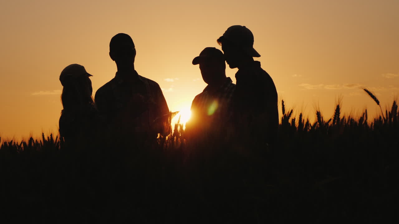 Silhouettes Of A Group Of Farmers Arguing In A Wheat Field At Sunset A Team Of Farmers