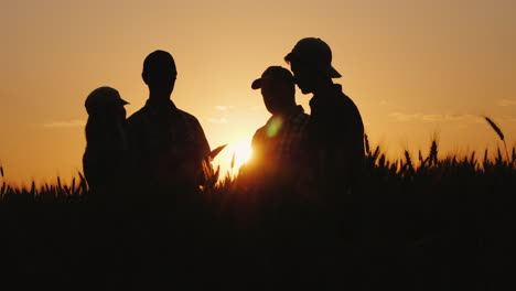 Silhouetten-Einer-Gruppe-Von-Bauern,-Die-Bei-Sonnenuntergang-Auf-Einem-Weizenfeld-Streiten,-Ein-Team-Von-Bauern