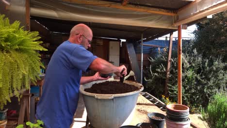 anciano con barba que llena macetas de flores con tierra para macetas