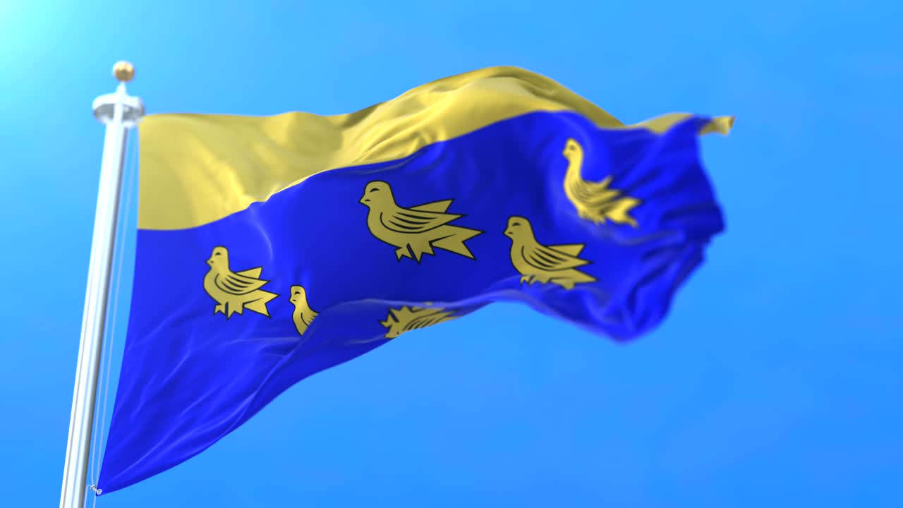 잉글랜드 남동부의 웨스트 서섹스 카운티의 국기.