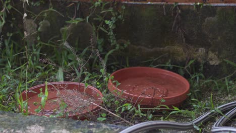 Agua-De-Lluvia-Cayendo-En-Platillos-De-Macetas