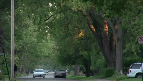 peaceful suburban street at sunset