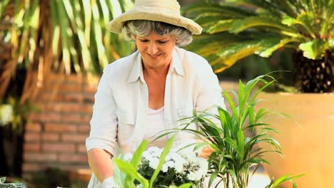 Mature-woman-potting-plants-in-the-garden