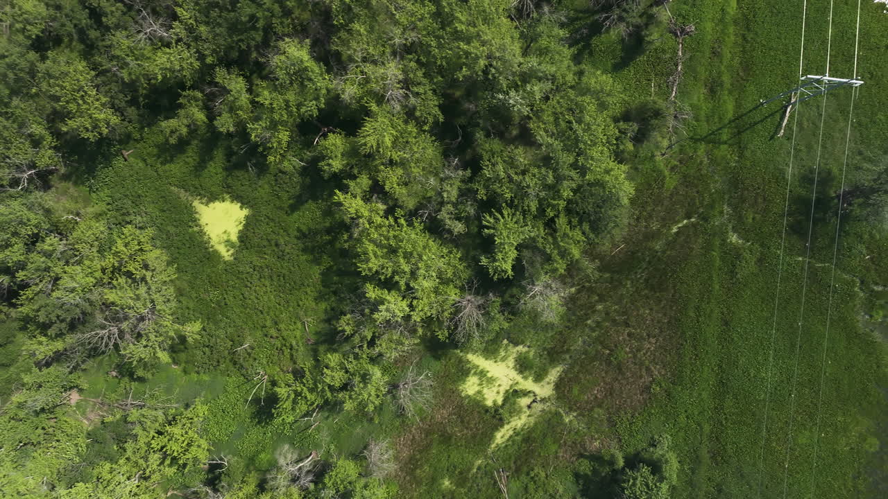 líneas eléctricas en armonía con la naturaleza cercana, proporcionando electrificación rural