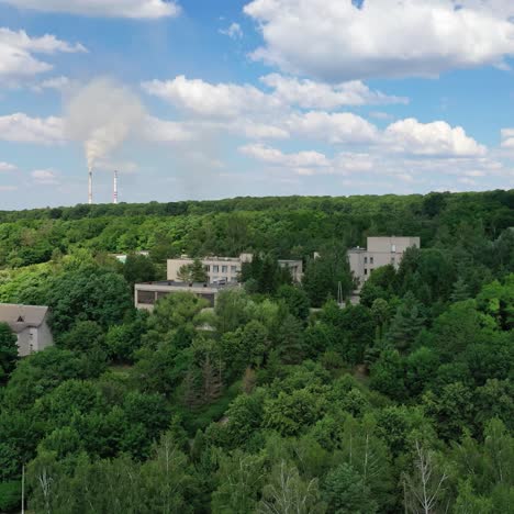 houses in green forest. roofs of buildings among trees under blue sky. countryside among beautiful nature. aerial view.