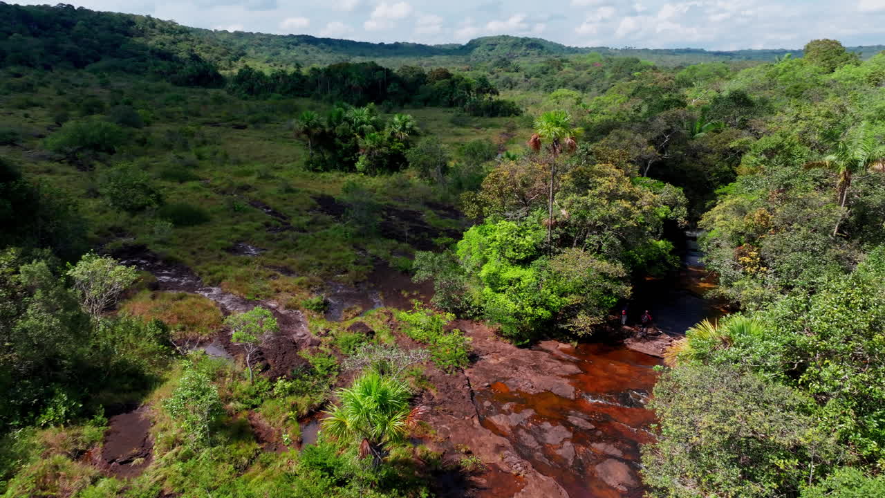 Aerial drone footage of Caño Sabana highlights a vibrant riverbed in Colombia, surrounded by dense jungle and rich natural textures in the Guaviare landscape