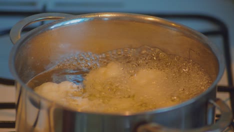 cooking white cauliflowers in hot water at kitchen stove