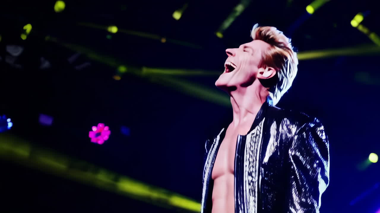 Rocklaulajan konserttiesitys