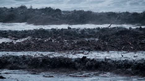 black muddy waves with debris crash onto a beach