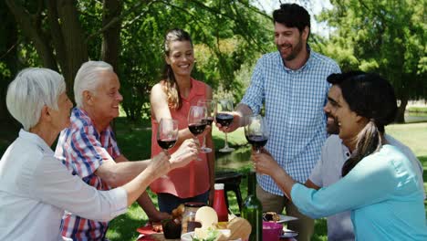 family toasting glasses of red wine in the park