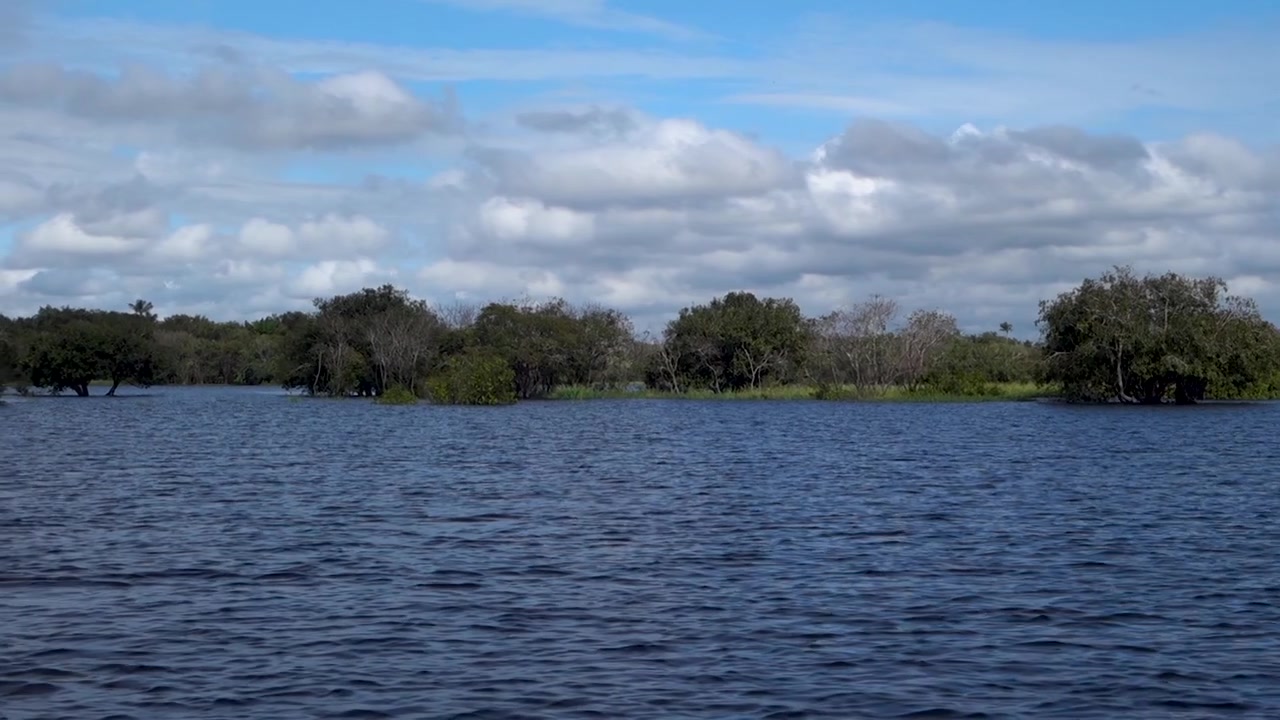 Uma tomada ampla das águas escuras do Rio Negro com vegetação exuberante da floresta tropical sob um céu azul nublado em Manaus, Brasil.
