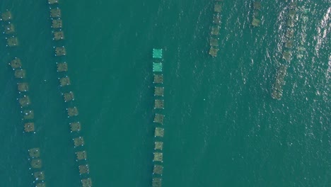 fotografía aérea de grandes granjas marinas en el mar abierto en los trópicos. concepto de cultivo marino