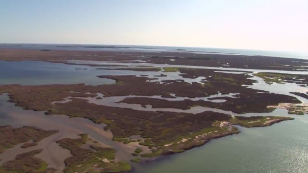 antenas sobre el refugio de vida salvaje de glenn martin en la región de la bahía de chesapeake en ee.uu.