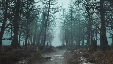 looped forest in fog with falling leaves in slow motion
