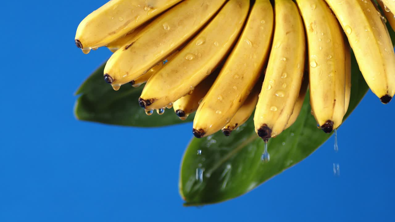 With bundles of banana leaves drip water droplets.