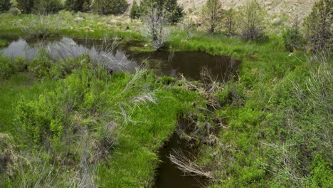 Willow-Creek-Pass-Im-Morrow-County,-Oregon,-Vereinigte-Staaten