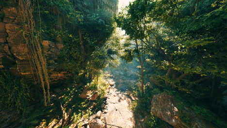 a lush jungle path with sunlight streaming through the trees