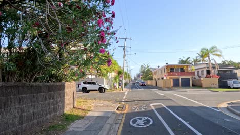 a quiet suburban street over time