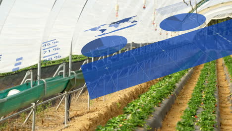 greenhouse interior showing raised strawberry beds, featuring irrigation pipes in flat design