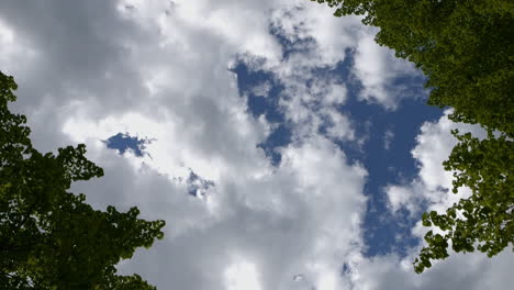 vista superior hacia abajo de las nubes blancas contra el cielo azul oscuro moviéndose entre los árboles