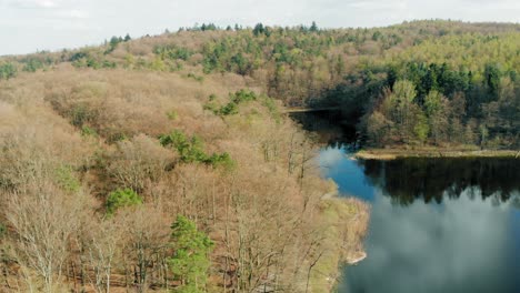 otomin lake and forest  shot