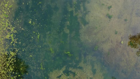 parque natural de vista aérea con lago drone 4k