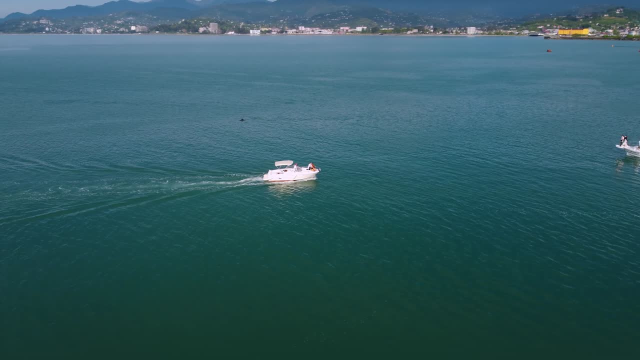 여름 요트와 바다에서 돌고래