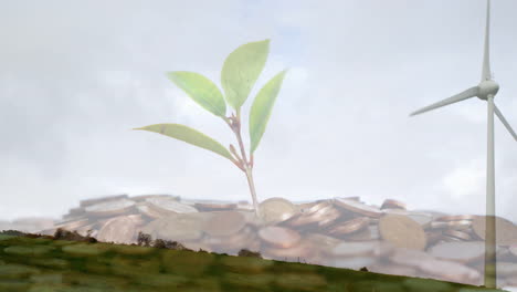 growing plant over coins with wind turbine, symbolizing green energy animation
