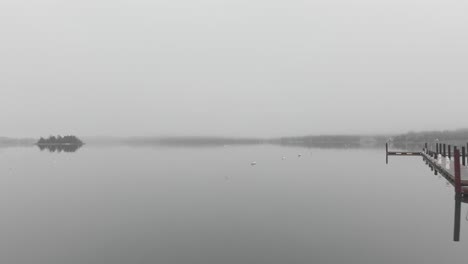 gaivota voando sobre o calmo porto nebuloso durante o dia