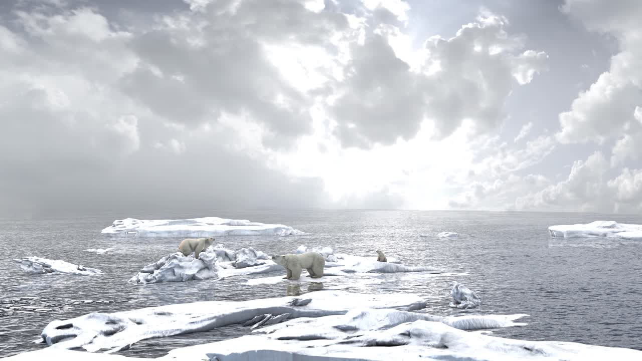 los osos polares en el derretimiento del hielo