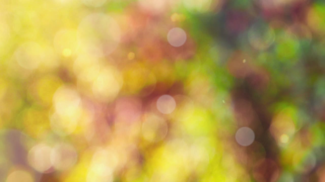 Fondo abstracto de otoño con bokeh