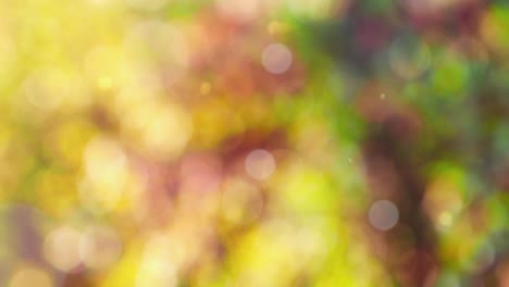fondo de otoño abstracto con bokeh