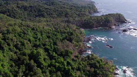 slow establishing shot of the shoreline with dense woodlands at cebaco island