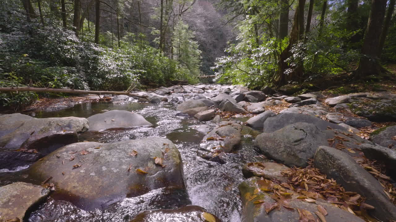 Aliran Sungai Kecil dengan Hutan di Pegunungan Appalachian Smoky