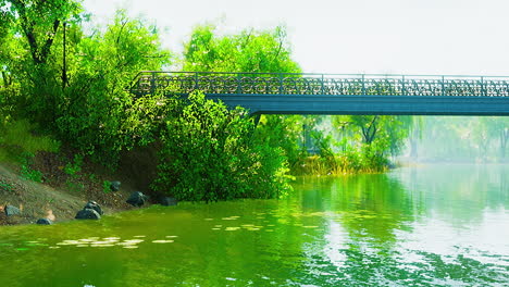 summer green forest pond landscape
