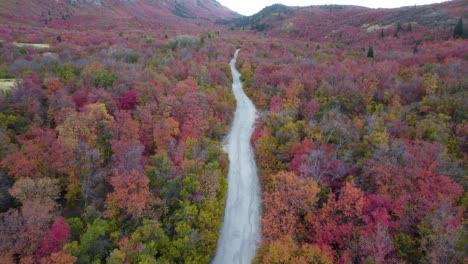 dirt road with beautiful fall autumnal colors on trees in utah - aerial