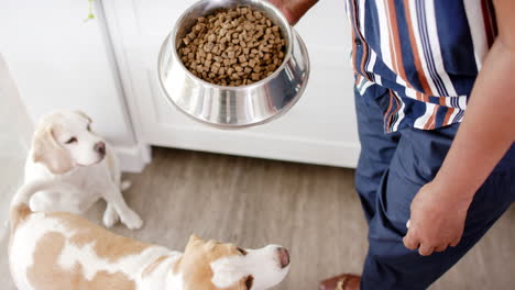 a senior african american woman is holding bowl of dog food