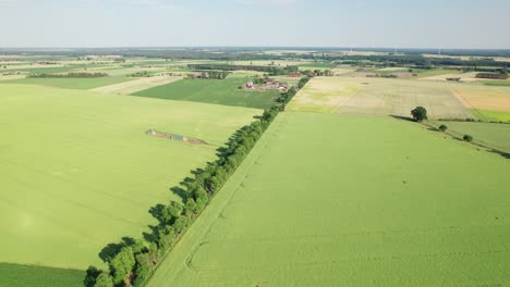 Straight-road-between-green-fields-during-summer,-distance-parallax-drone-shot