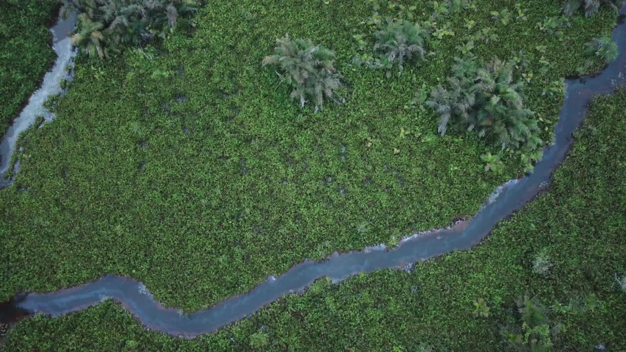 서아프리카 베닌 의 강 하천 정글 과 농장 위 를 날아다니며