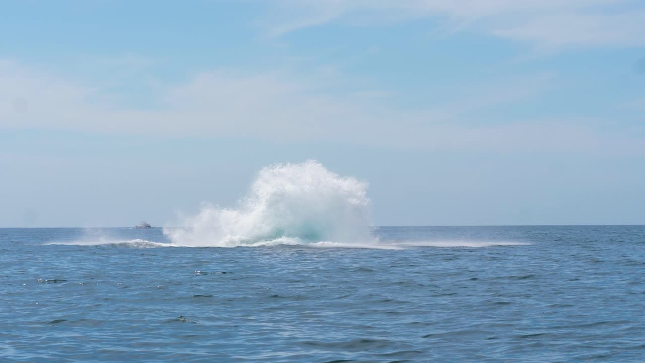 보트 옆에서 물 밖으로 뛰어내리는 큰 고래가 큰 물보라를 일으키다