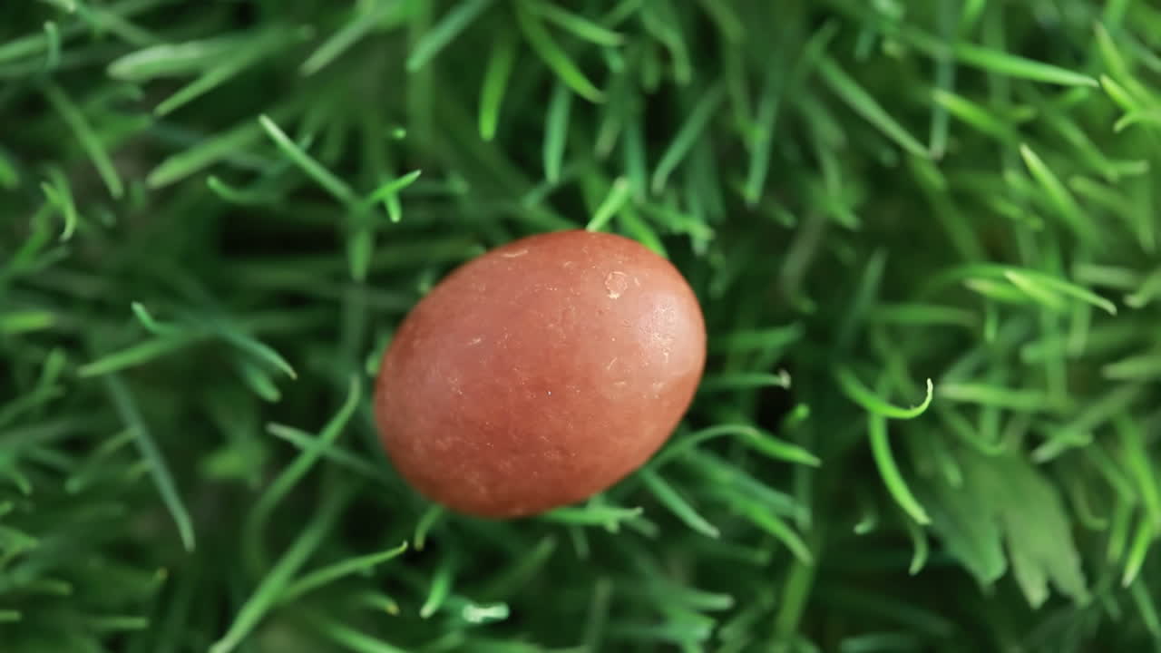 초콜릿 부활절 달걀