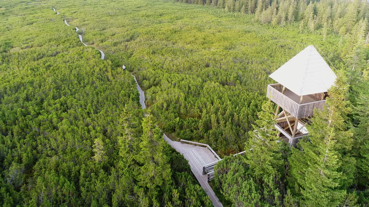 Aerial: A lookout tower at the Lovrenc lakes (Lovrenska jezera) marshlands near Rogla, Slovenia