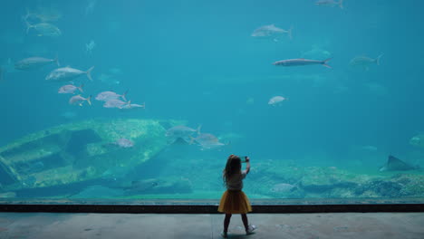 girl taking photo of fish in aquarium using smartphone photographing marine animals swimming in tank learning about sea life in aquatic habitat having fun in oceanarium