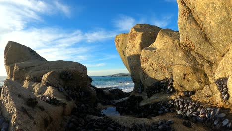 carmelo junto al mar, monterey, california