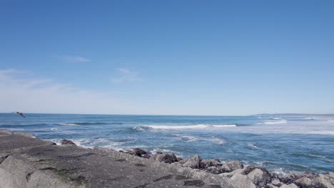 seagulls scatter rapidly over coquille river break water as it meets pacific ocean