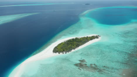 birds eye view of island hanifarurah in the maldives with sea turtles and sharks