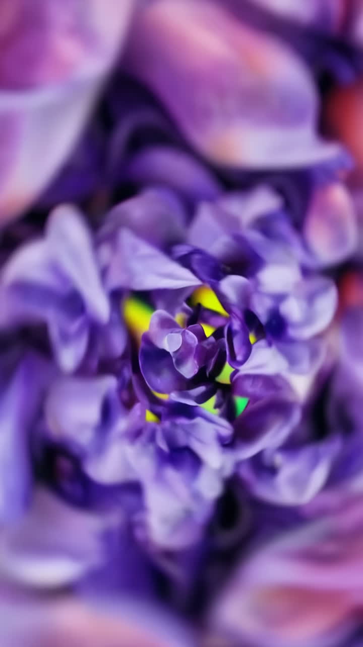 Vibrant Abstract Purple and Yellow Blurs